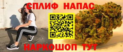 гашик Тула