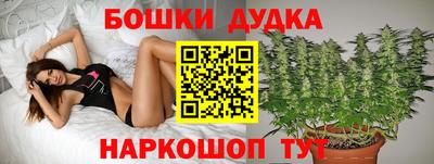 гашик Тула