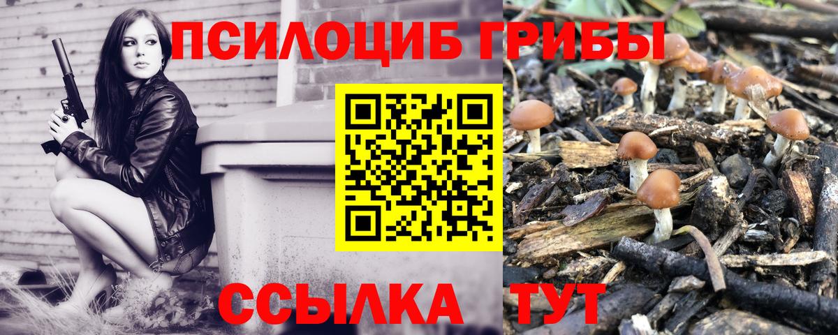  COCAIN Лесосибирск
