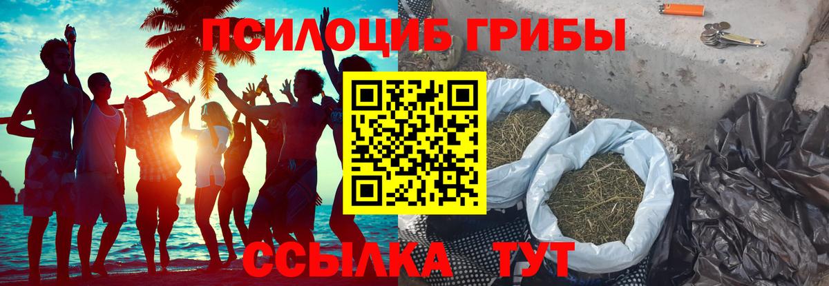 Галлюциногенные грибы Magic Shrooms Лесосибирск