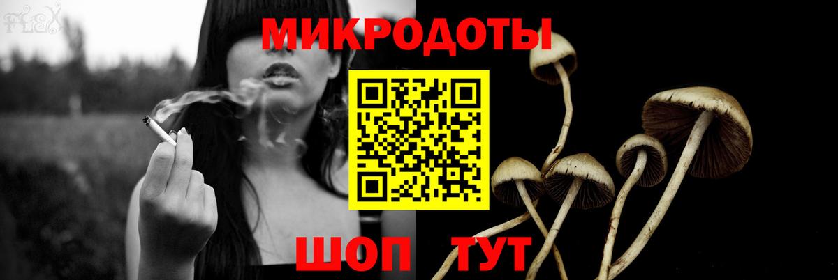 Галлюциногенные грибы Cubensis  Галлюциногенные грибы мицелий  Вход с VPN  Лесосибирск 